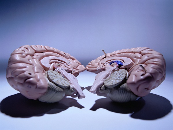 Los secretos que esconde tu mente - ¿Tenemos dos cerebros?